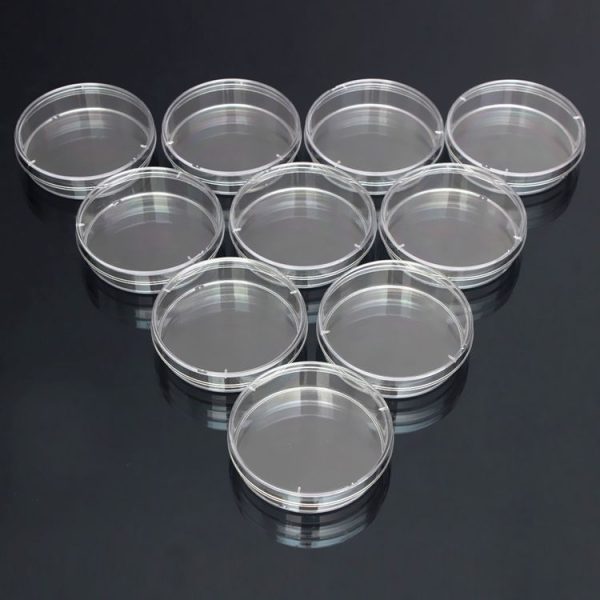 10 PCS Polystyrene Sterile Petri Dishes Bacteria Dish Laboratory Biological Scientific Lab Supplies, Size: 150mm - Image 5
