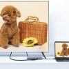 10 in 1 Type-C Multi-Function Docking Station PD Fast Charging HUB - Image 10