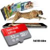 SanDisk A1 Monitoring Recorder SD Card High Speed Mobile Phone TF Card Memory Card, Capacity: 16GB-98M / S - Image 7