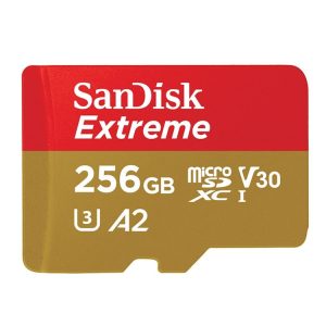 SanDisk U3 High-Speed Micro SD Card TF Card Memory Card for GoPro Sports Camera, Drone, Monitoring 256GB (A2), Colour: Gold Card
