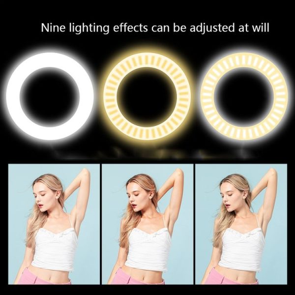 Live Mobile Phone Fill Light Comes With Humidifying Spray And Moisturizing LED Beauty Light (Pink) - Image 8