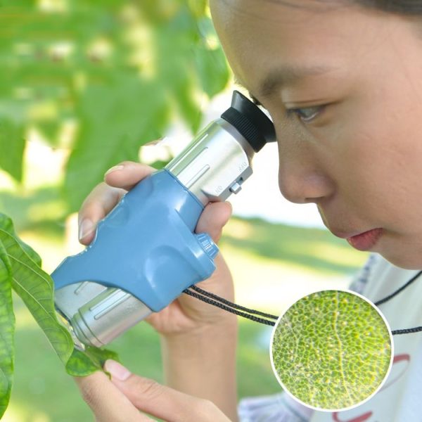 C2122 20X-60X Children Handheld Microscope Scientific Experiment Toy Outdoor Adventure STEAM Teaching Aids - Image 5