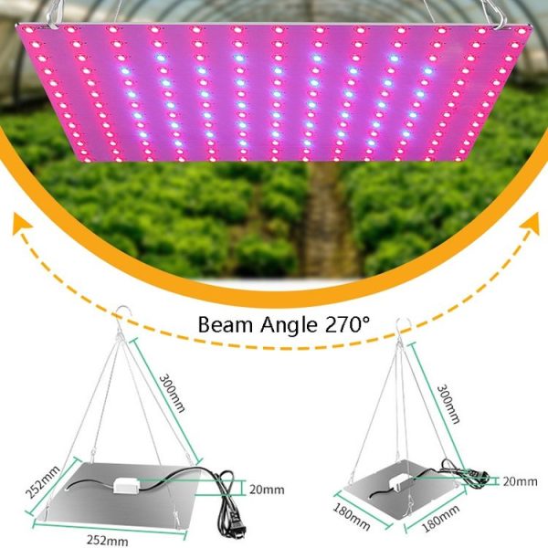 LED Plant Growth Lamp Red Blue Spectrum Flower Fill Light Planting Lamp Room Quantum Plate Plant Light, Power: 81 Beads EU Plug - Image 3