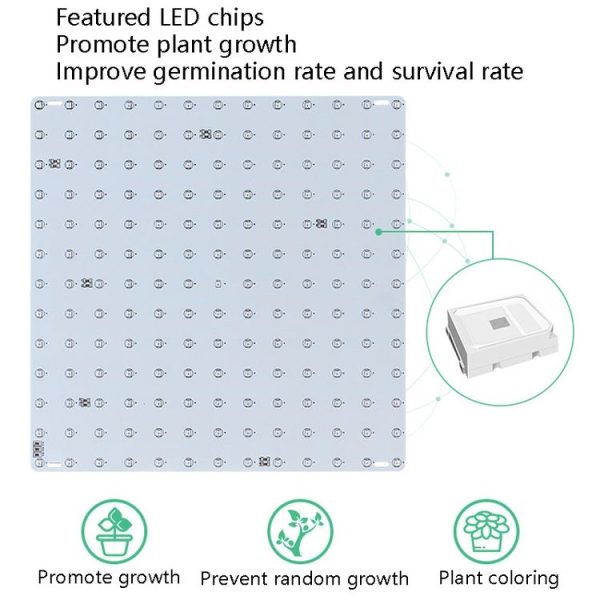 LED Plant Growth Lamp Red Blue Spectrum Flower Fill Light Planting Lamp Room Quantum Plate Plant Light, Power: 81 Beads EU Plug - Image 4