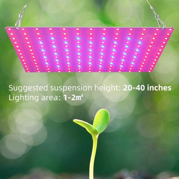 LED Plant Growth Lamp Red Blue Spectrum Flower Fill Light Planting Lamp Room Quantum Plate Plant Light, Power: 81 Beads EU Plug - Image 6