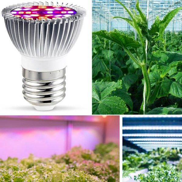 2 PCS LED Plant Growth Lamp Full Spectrum Plant Fill Light Cup, Power: E27 18 Beads - Image 7