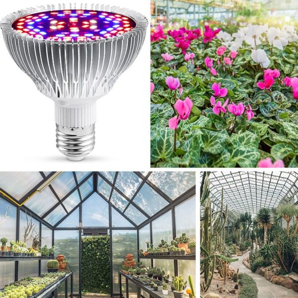 LED Plant Growth Lamp Full-Spectral E27 Plant Fill Light, Power: 50W 78 Lamp Beads - Image 7