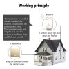CACAZI FA50 1 For 1 Push-button Self-generating Wireless Doorbell, Plug: EU Plug (Black) - Image 6