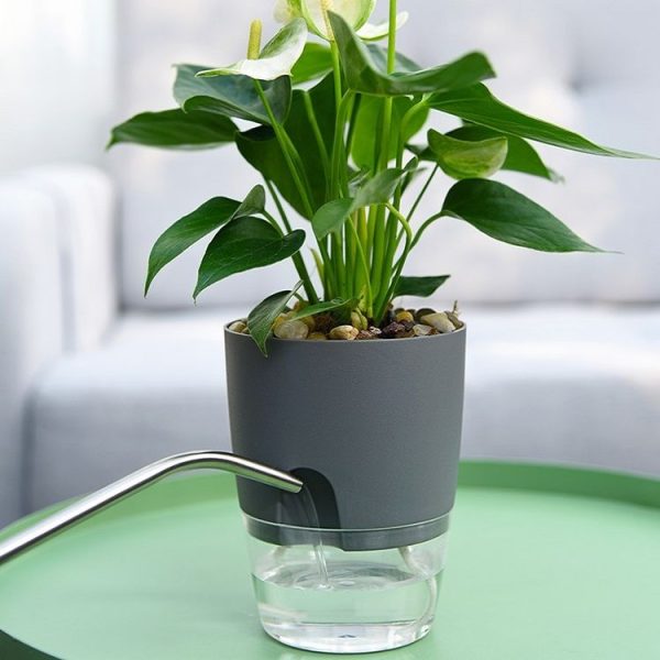 Transparent Plastic Double-Layer Water Storage Automatic Water-Absorbing Flowerpot, Size: A705 Caliber 10.5cm (Gray Transparent Basin) - Image 2