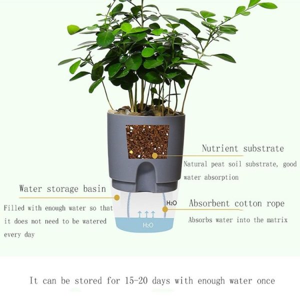 Transparent Plastic Double-Layer Water Storage Automatic Water-Absorbing Flowerpot, Size: A705 Caliber 10.5cm (Gray Transparent Basin) - Image 5