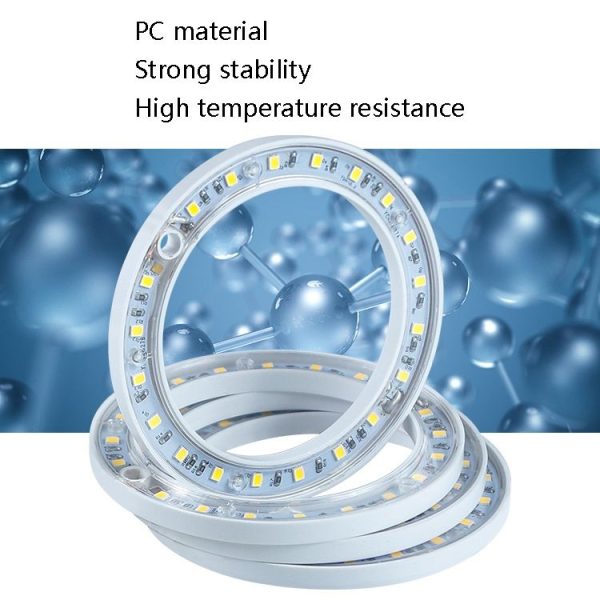 LED Plant Growth Lamp Full Spectroscopy Intelligent Timing Indoor Fill Light Ring Plant Lamp, Power: Two Head (Sunshine) - Image 5