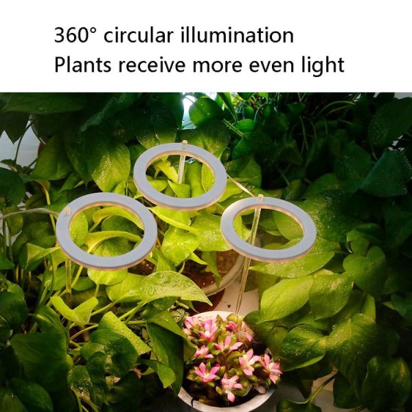 LED Plant Growth Lamp Full Spectroscopy Intelligent Timing Indoor Fill Light Ring Plant Lamp, Power: Two Head (Sunshine) - Image 6