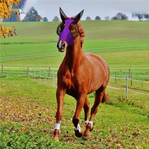 MMZ-001 Breathable Horse Mask Mosquito Insect And Fly Mask Equestrian Supplies (Blue) - Image 3