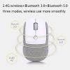 DELUX M520 8 KeysWireless Silent Bluetooth Mouse Multi-Mode Laptop Mouse - Image 2