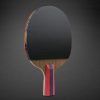 HUIESON HS-LX Six Star 5-Layer Chicken Wing Tip + 2 Layer Carbon Double Side Continuous Table Tennis Single Racket (Pen Hold Grip Racket) - Image 2