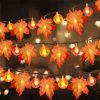 3m 20 LEDs Maple Pumpkin Lantern String Lights Halloween Thanksgiving Garden Party Room Decoration Lights (Warm Light)