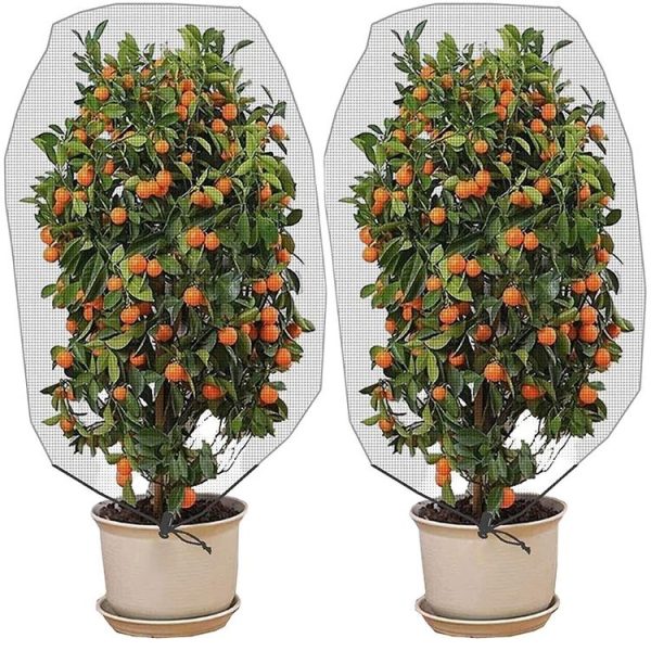 Plant Insect Cover Net With Drawstring Greenhouse Fruit Tree Bird Cover, Size: 1.2x1.4m (White) - Image 7