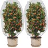 Plant Insect Cover Net With Drawstring Greenhouse Fruit Tree Bird Cover, Size: 1x1.5m (White) - Image 7