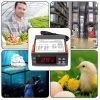 STC-1000 Aquarium Incubation Seafood Machine Electronics Number Microcomputer Temperature Controller Switch (12V) - Image 7