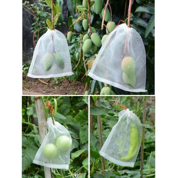 15 PCS Fruit & Vegetable Insect-Proof And Bird-Proof Nylon Mesh Bag, Specification: 25x25cm - Image 5