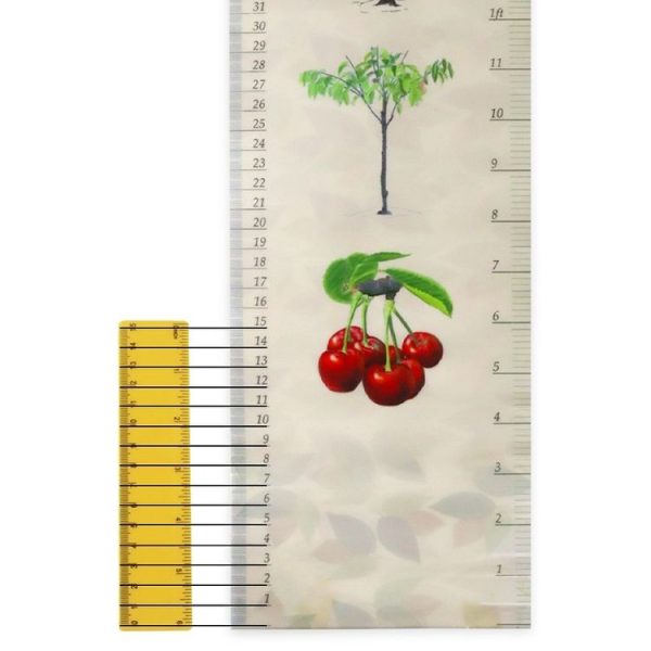 Removable Wall-mounted Height Ruler With Botanical Print Decoration - Image 4
