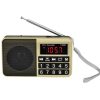 Y-928 FM Radio LED Display MP3 Support TF Card U Disk (Gold)