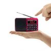 Y-928 FM Radio LED Display MP3 Support TF Card U Disk (Gold) - Image 3