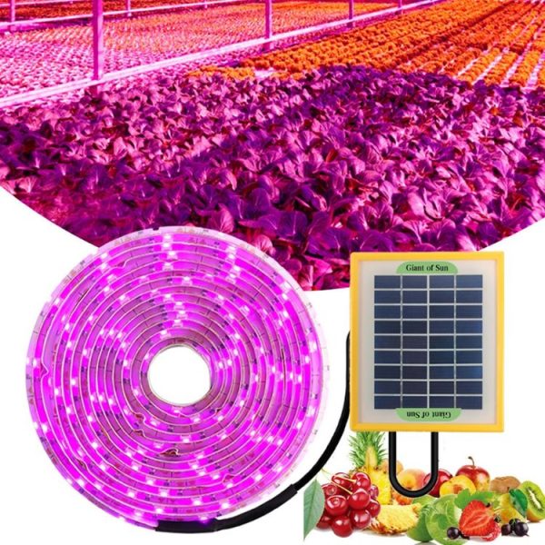 LED Full Spectrum Plant Fill Light Grow Light (Solar Panel+ 5M Lamps)