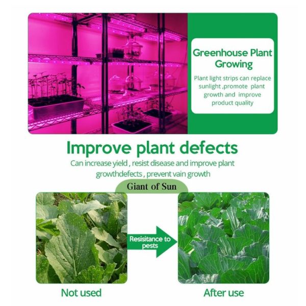LED Full Spectrum Plant Fill Light Grow Light (Solar Panel+ 5M Lamps) - Image 3