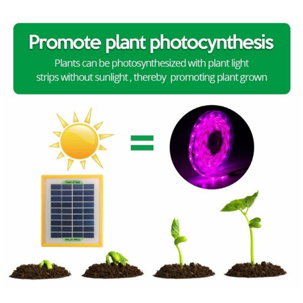 LED Full Spectrum Plant Fill Light Grow Light (Solar Panel+ 5M Lamps) - Image 4
