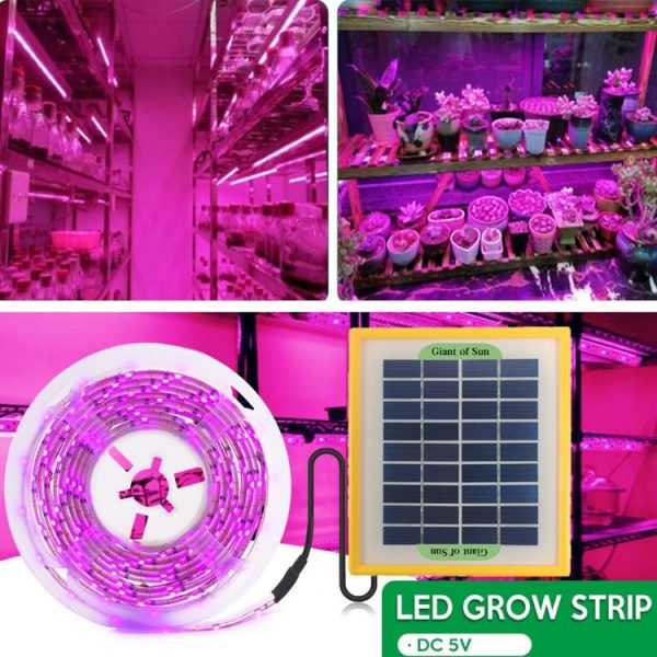 LED Full Spectrum Plant Fill Light Grow Light (Solar Panel+ 5M Lamps) - Image 6