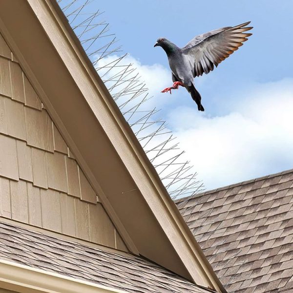 50cm Long Bird Repellent Anti-cat Thorn Stainless Steel Anti-bird Thorn - Image 2