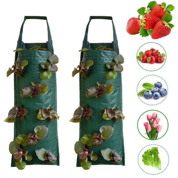Multi-Port Grow Bags For Plant Strawberry Potato Hanging Planting Pots, Size: 6 Port - Image 2