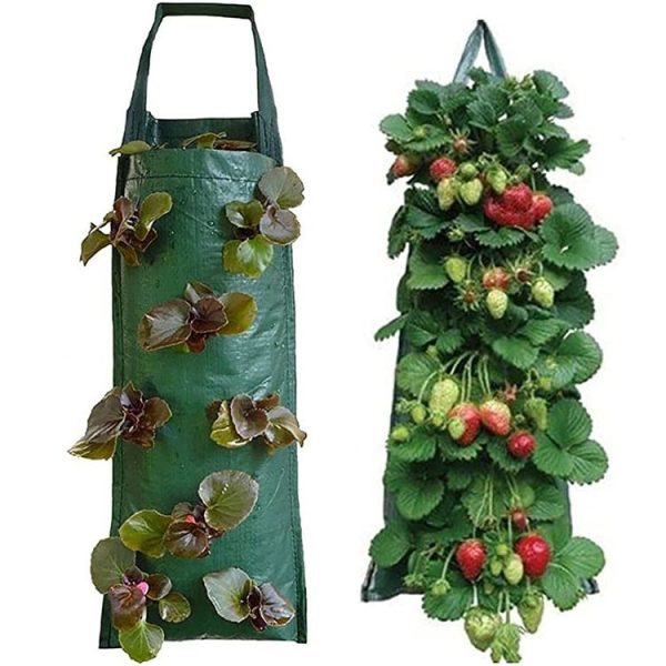 Multi-Port Grow Bags For Plant Strawberry Potato Hanging Planting Pots, Size: 6 Port - Image 3