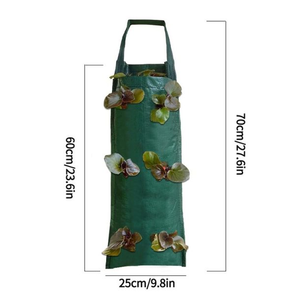 Multi-Port Grow Bags For Plant Strawberry Potato Hanging Planting Pots, Size: 6 Port - Image 4