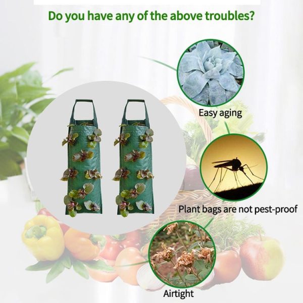 Multi-Port Grow Bags For Plant Strawberry Potato Hanging Planting Pots, Size: 6 Port - Image 5