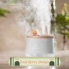 ICARER FAMILY F08 Cartoon Desktop Double Spray Humidifier with Night Light, Spec: Plug-in (White) - Image 3