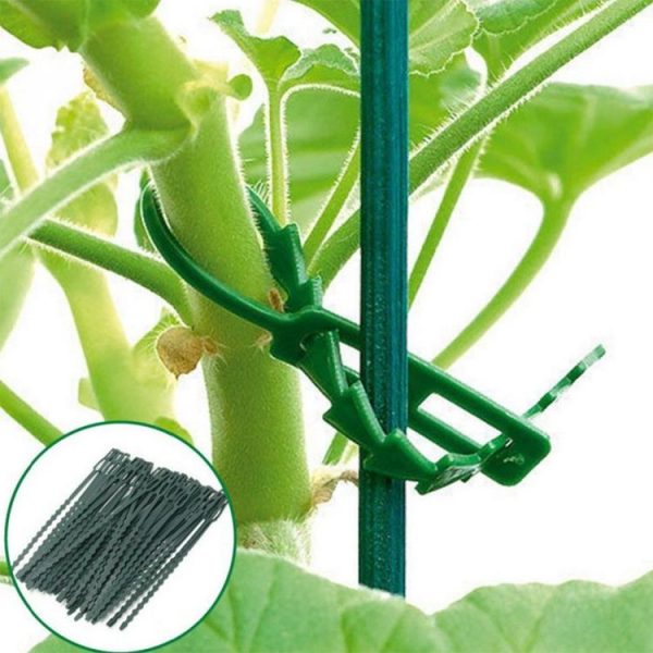 Multi-Purpose Garden Plants Fishbone Cable Ties, Length: 17cm / 50pcs - Image 4