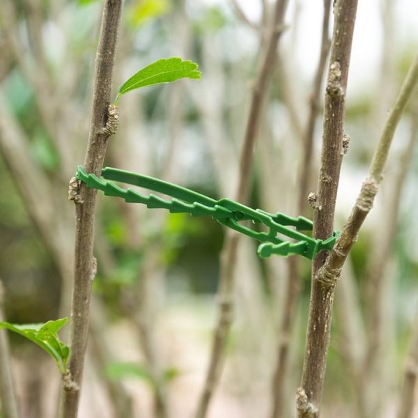 Multi-Purpose Garden Plants Fishbone Cable Ties, Length: 17cm / 50pcs - Image 5