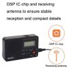 BAIJIALI BJL-166 Full Band Retro Radio Multifunctional Built-In Speaker Player (Black) - Image 3