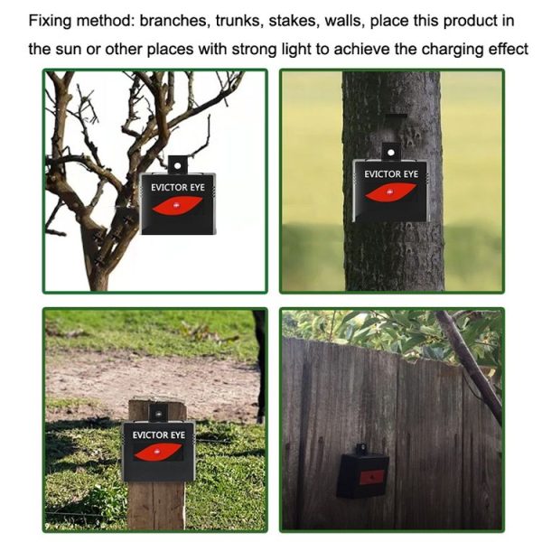 SK191 1pc Solar Farm Wild Eagle Eye Animal Repeller - Image 10