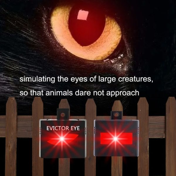 SK191 1pc Solar Farm Wild Eagle Eye Animal Repeller - Image 7