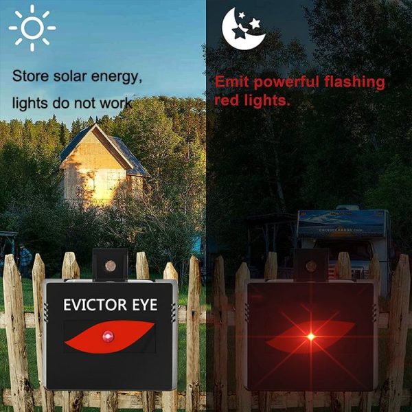 SK191 1pc Solar Farm Wild Eagle Eye Animal Repeller - Image 8