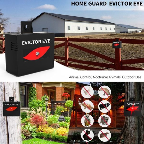 SK191 1pc Solar Farm Wild Eagle Eye Animal Repeller - Image 9