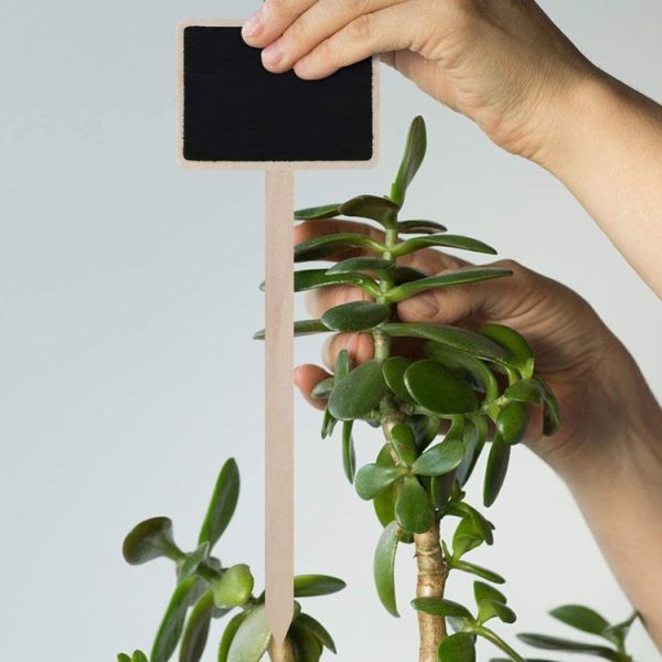 ZX507 10pcs Wooden Plug-in DIY Message Board Mini Plant Name Tags Desktop Display Board (24cm Length) - Image 5