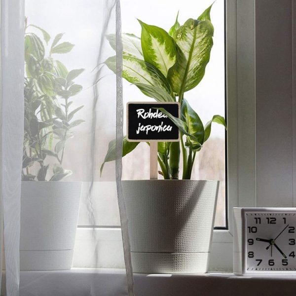 ZX507 10pcs Wooden Plug-in DIY Message Board Mini Plant Name Tags Desktop Display Board (24cm Length) - Image 7