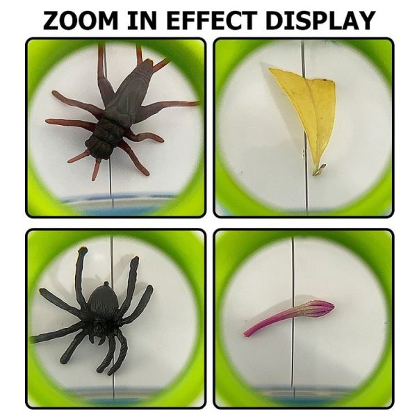 Children Animal Plant Observer Scientific Experiment Magnifying Glass - Image 6