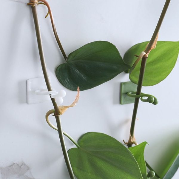 Small 50pcs Plant Climbing Wall Buckle Vine Traceless Plant Fixer Self-Adhesive Hooks (Green) - Image 3