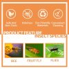 SJZ060 2pcs / set Pumpkin Shaped Fruit Fly Traps Fruit Fly Trap Bee Trap (Orange) - Image 4