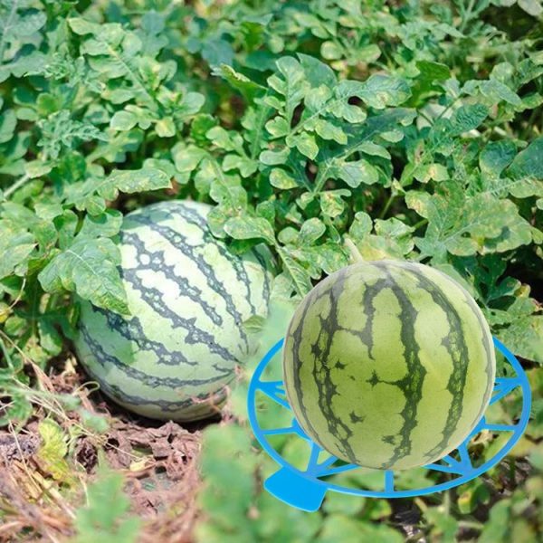 Watermelon Vegetables Fruit Stand Support Frame Holder Plant Tray Rack (Green) - Image 7